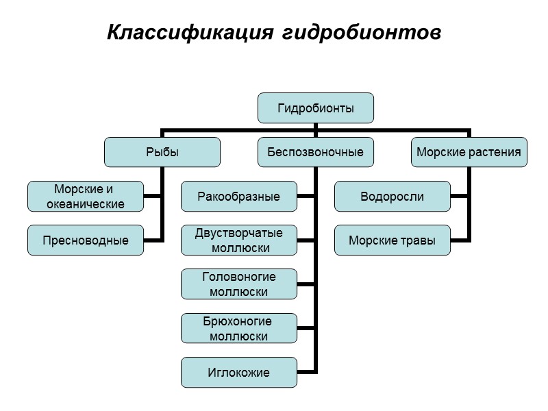 Классификация гидробионтов